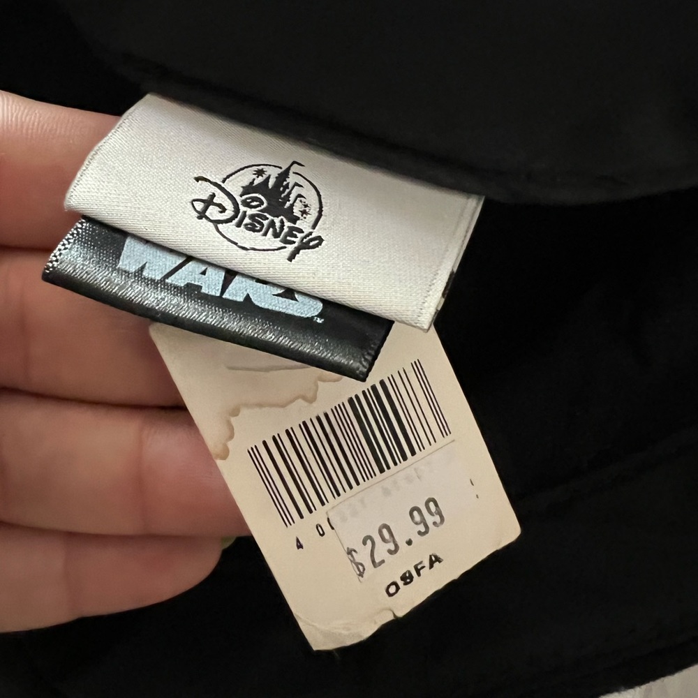 Disney Adult Cap